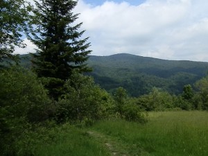 beskid wyspowy 48 (1)